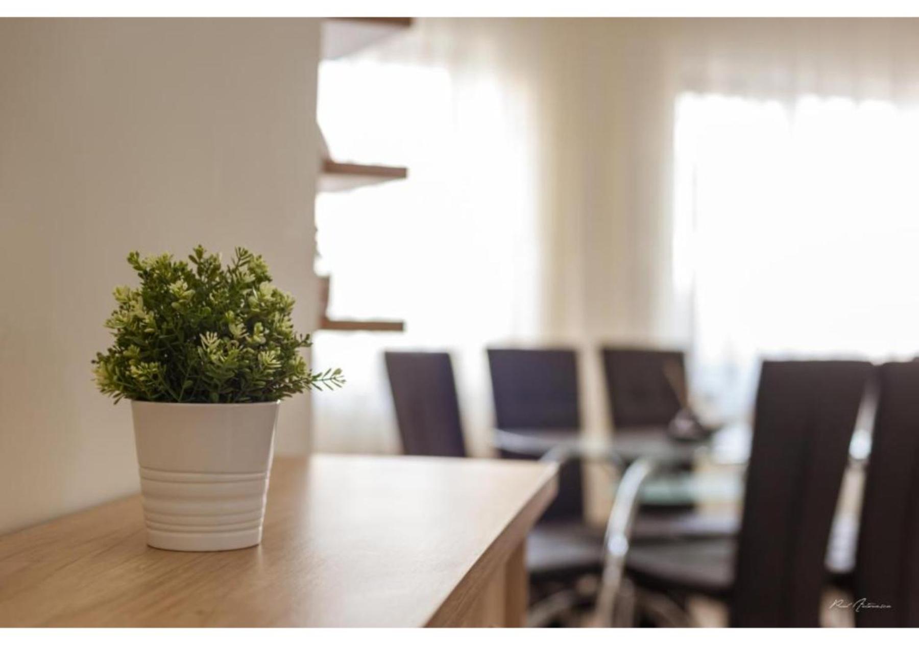 Luxury Apartment Piteşti Dış mekan fotoğraf